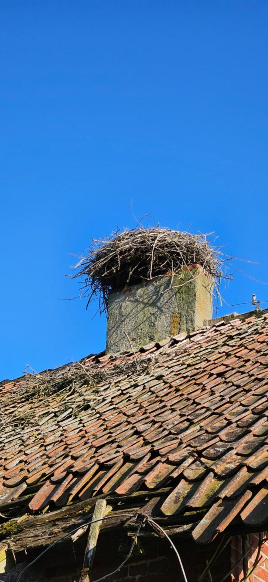 Vila Oliwkowe Jerzykowo -Klimatyzacja Radzieje Exteriér fotografie